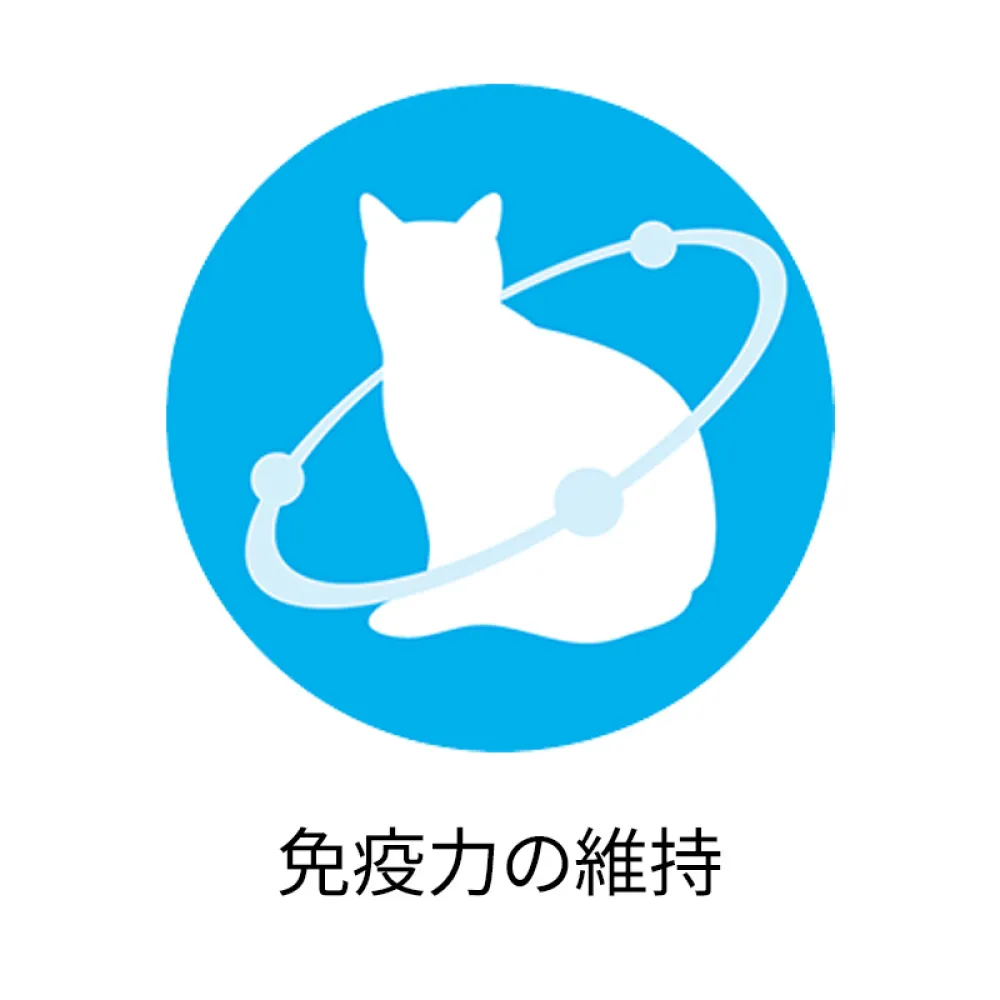 健康寿命ケア11歳以上 チキン＆フィッシュやわらかゼリー仕立て